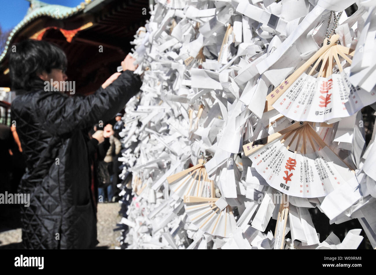De nombreux 'Omikuji' sont liées à Kanda Myojin Shrine à Tokyo, Japon, le 4 janvier 2013. Beaucoup de japonais pensent qu'en liant la 'Omikuji' autour d'une branche d'arbre, la bonne fortune se réaliseront ou mauvaise fortune peut être évité. UPI/Keizo Mori Banque D'Images