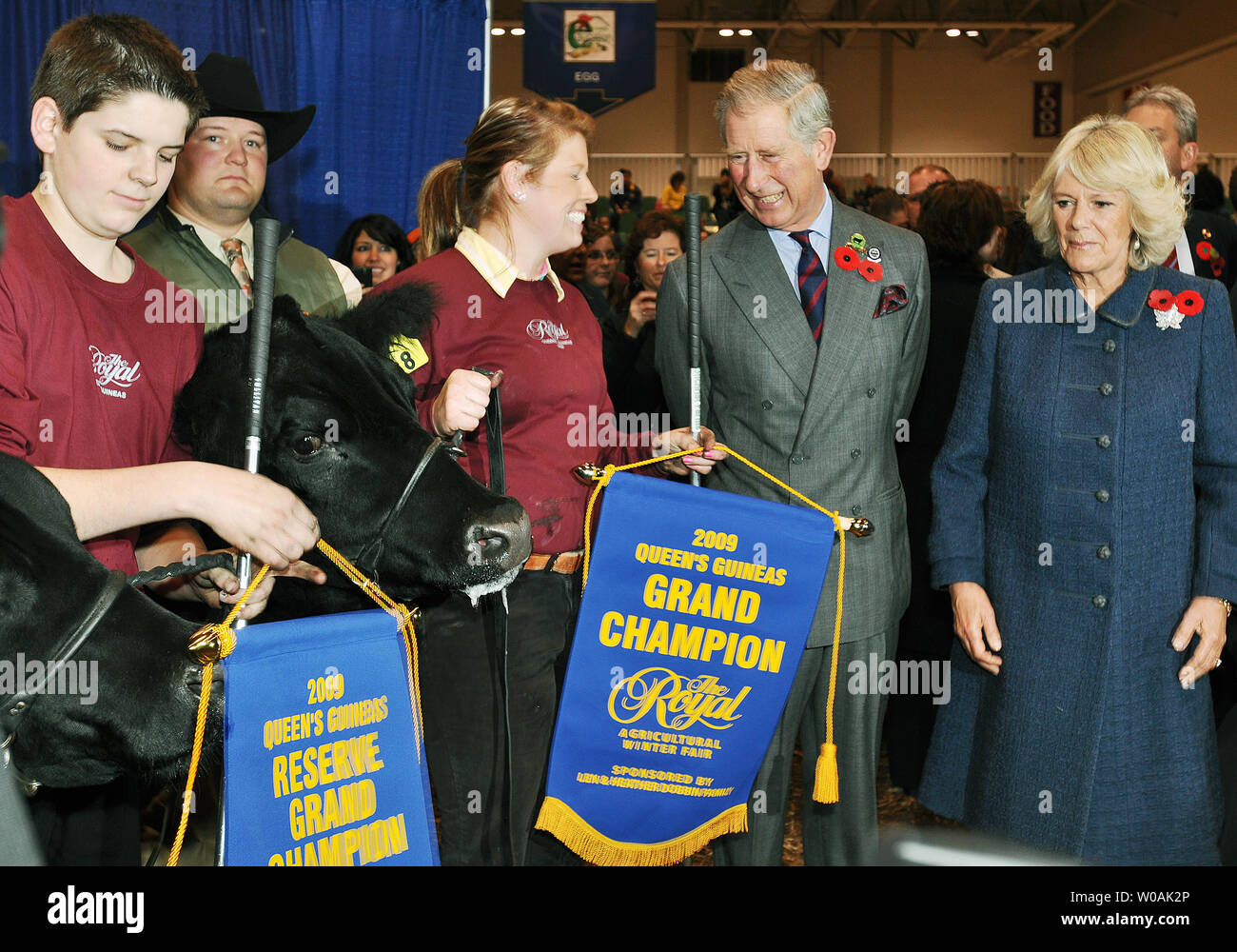 Le Prince Charles et son épouse Camilla (R), duchesse de Cornouailles, présente le championnat à la Cour suprême du ruban-Champion de la Reine pour le concours de bovins de guinées à la Royal Agricultural Winter Fair de Toronto, Canada le 6 novembre 2009. UPI /Christine Chew Banque D'Images