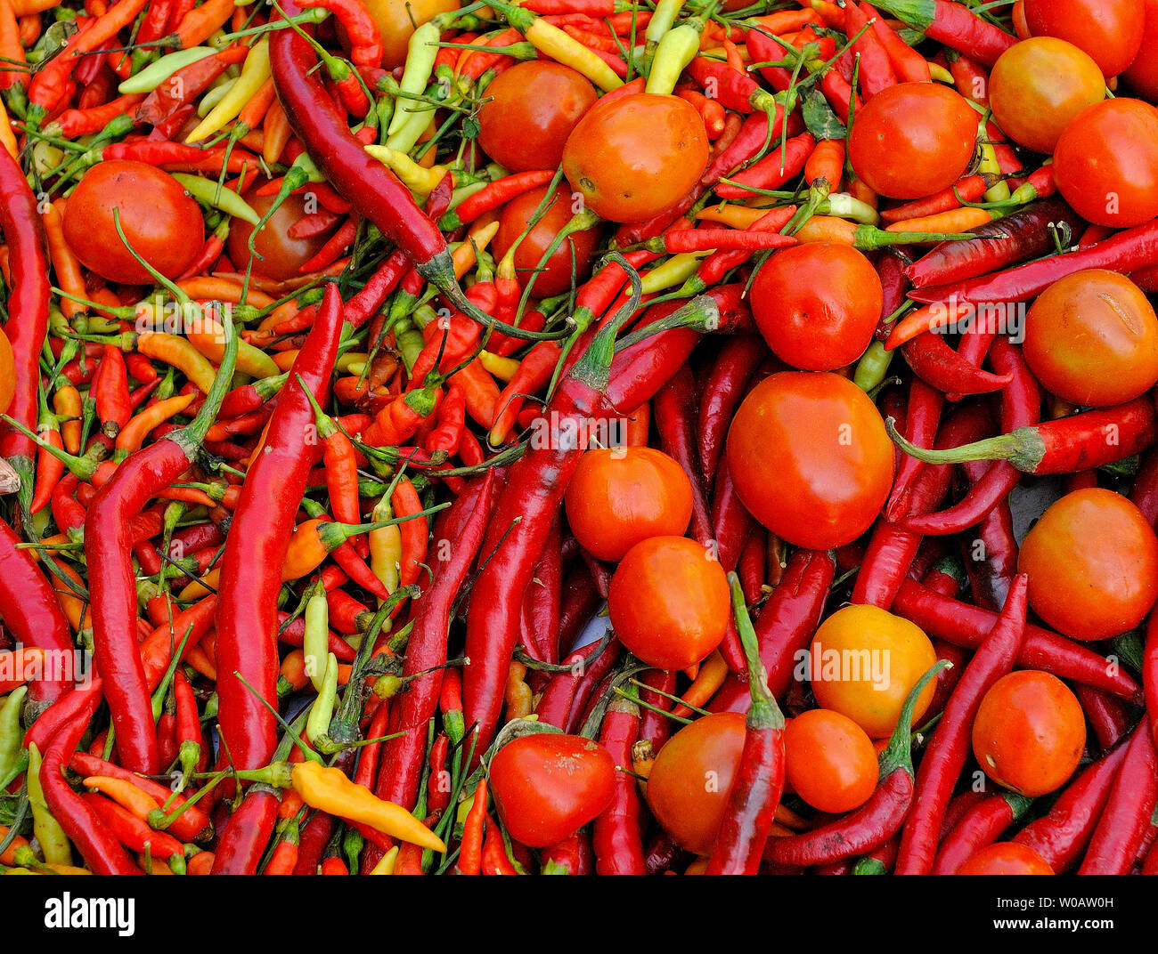 Surabaya. Indonésie - Positions 2009.11.10 : Les piments et les tomates affichée à un marché sur Jalan kebalen timur Banque D'Images