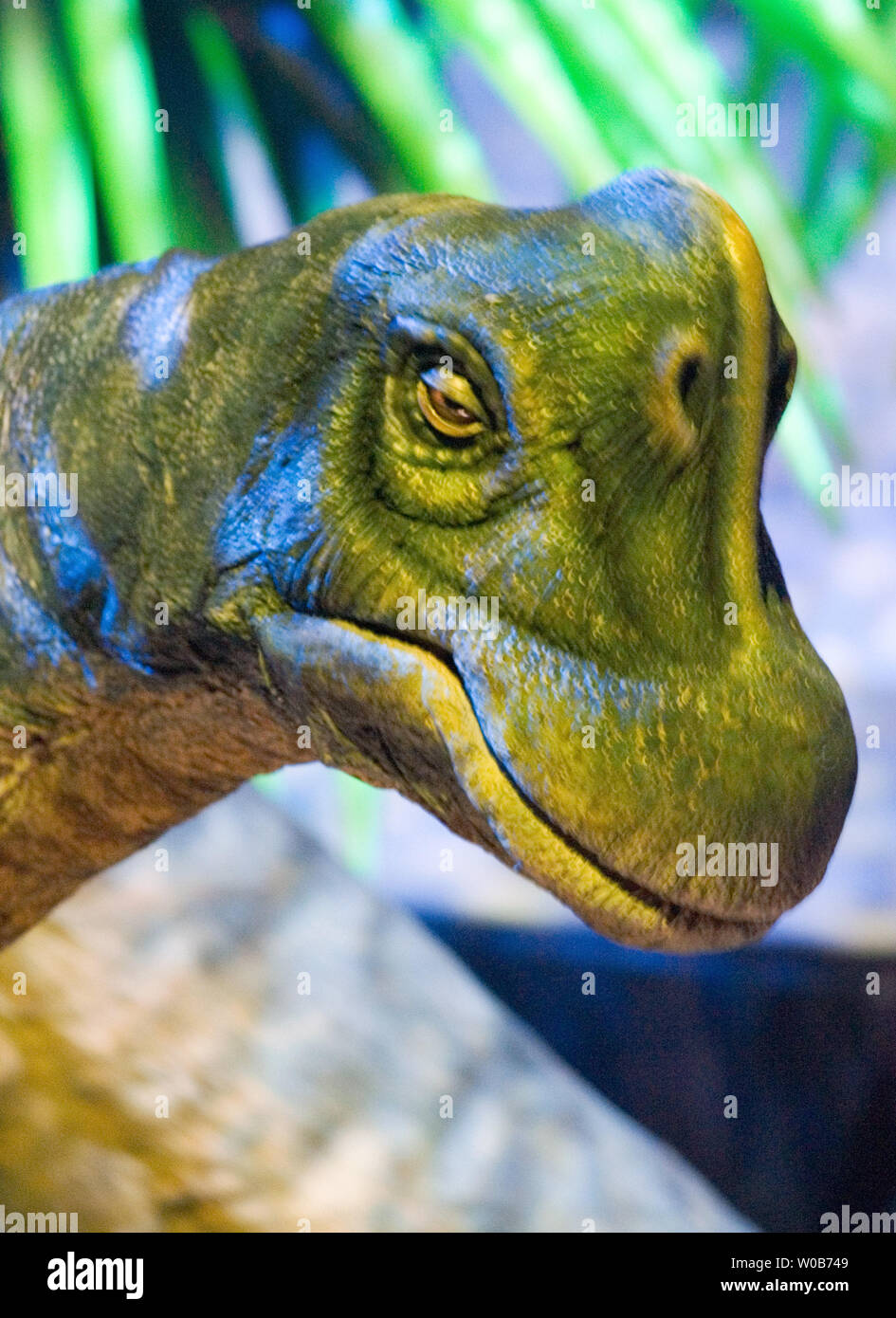 Un Bebe Brachiosaure Du Jurassique Tardif Ressemble Pour Elle Est Mere Durant Les 90 Minutes Walking With Dinosaurs L Experience Live Show Au Gm Place A Vancouver Colombie Britannique Le 31 Janvier 08