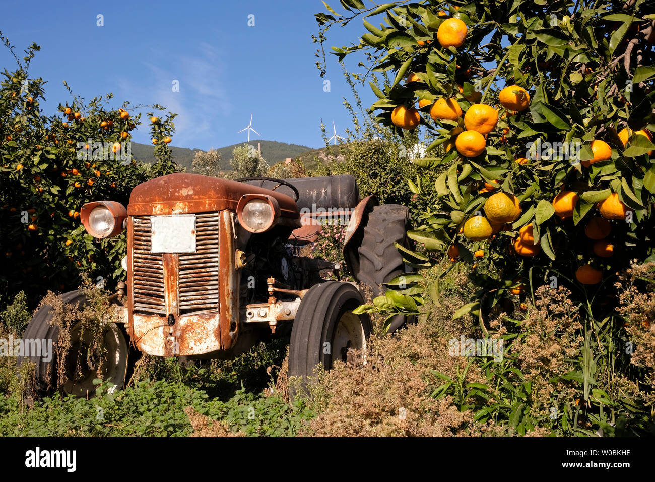 Le vent est une source d'énergie alternative. L'électricité produite par énergie éolienne géante Banque D'Images