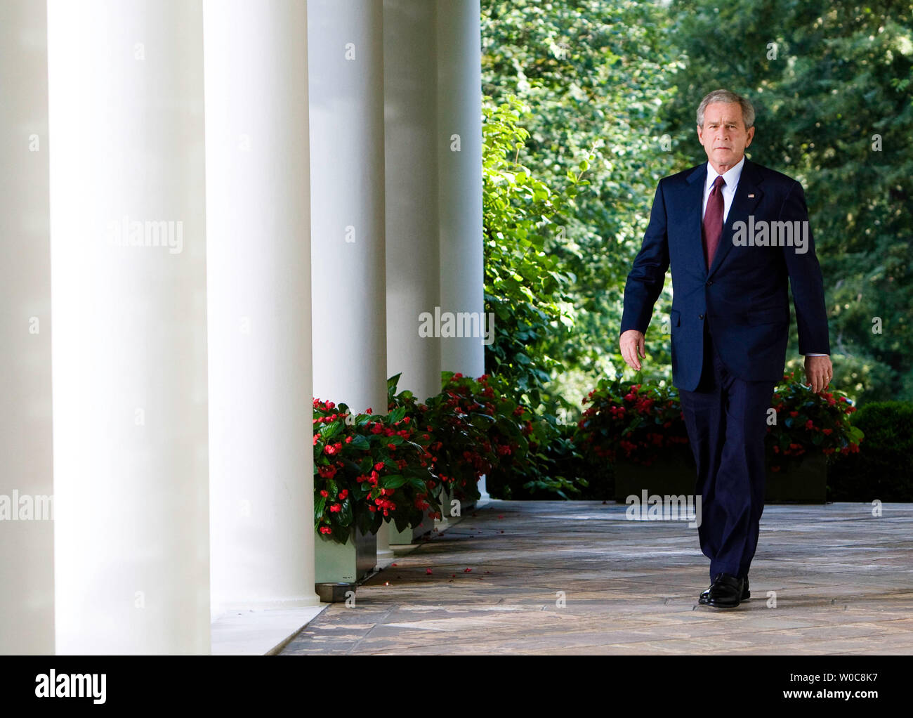 Le président Bush de promenades le Bureau Ovale pour faire une déclaration sur le conflit entre la Géorgie et la Russie de la Roseraie de la Maison Blanche à Washington le 11 août 2008. Bush a condamné les bombardements par la Russie dans une escalade du conflit dans la région d'Ossétie du Sud (Géorgie). (Photo d'UPI/Patrick D. McDermott) Banque D'Images