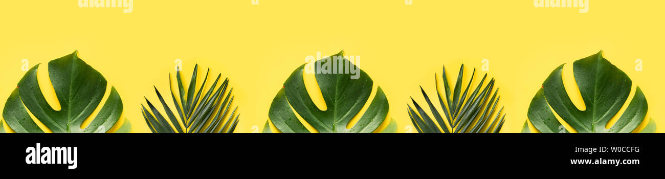 Les feuilles de palmier et de bannière monstera comme frontière sur fond jaune. Copier l'espace. Haut de la vue, télévision lay. Banque D'Images