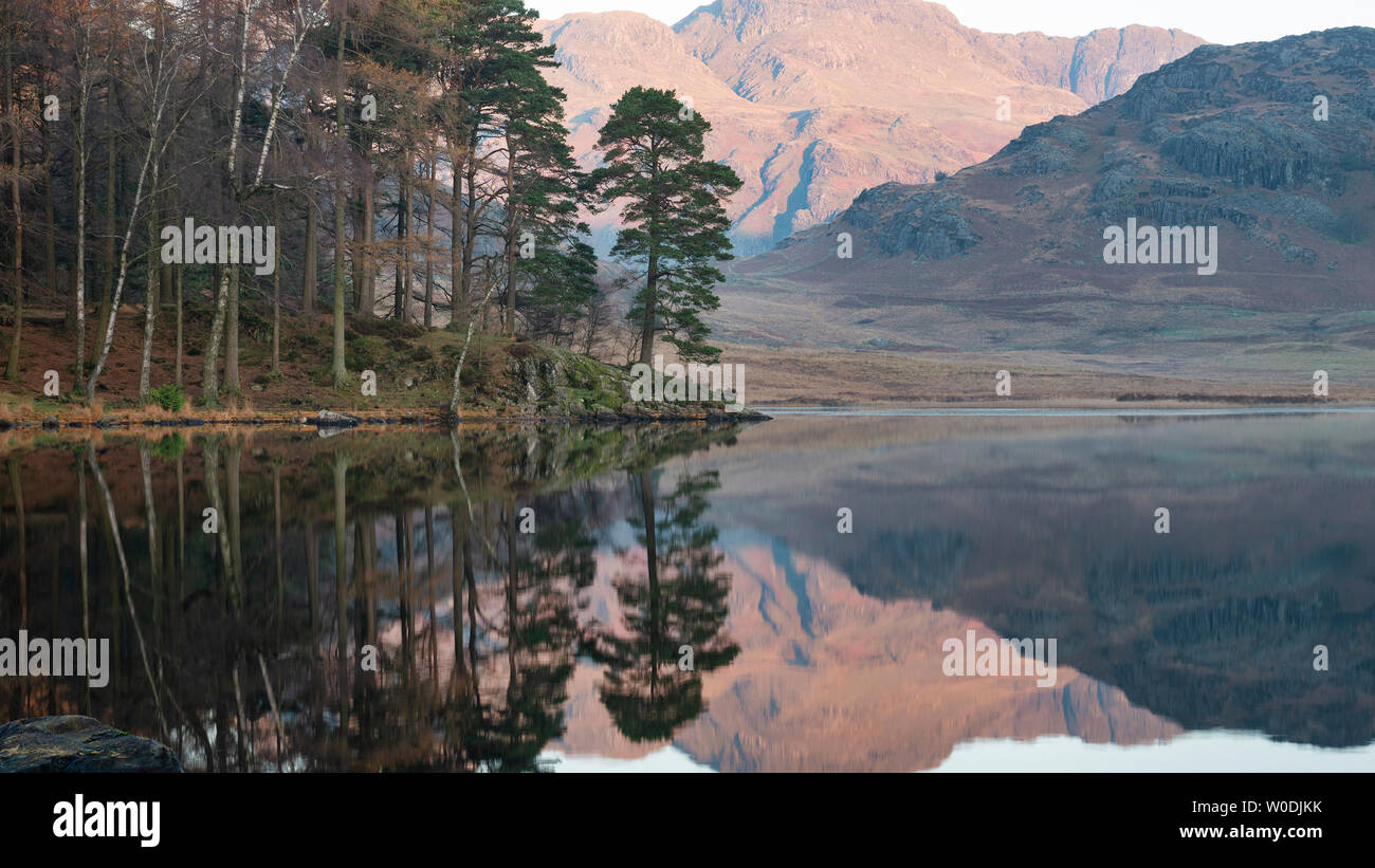 Automne Automne magnifique lever de soleil sur l'animé Blea Tarn dans le Lake District et le soulever avec The Langdales dans la distance Banque D'Images