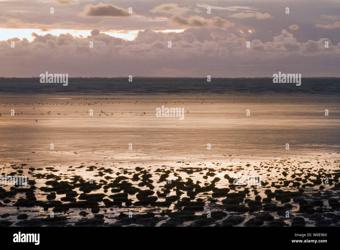 La France, de les Moutiers-en-Retz, 44. Banque D'Images