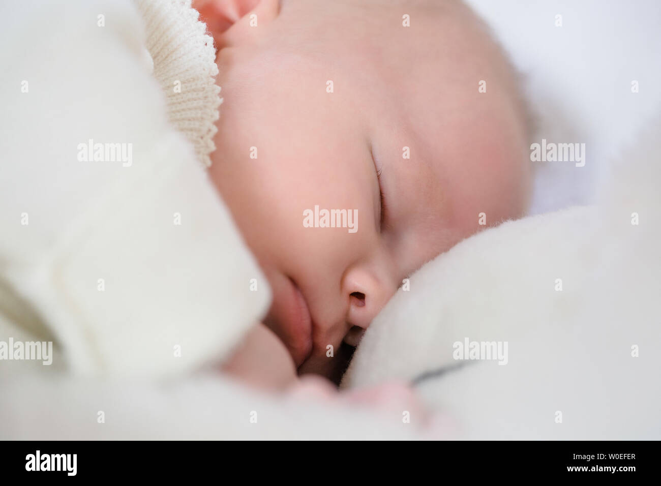 Gros Nez Bebe Banque D Image Et Photos Alamy