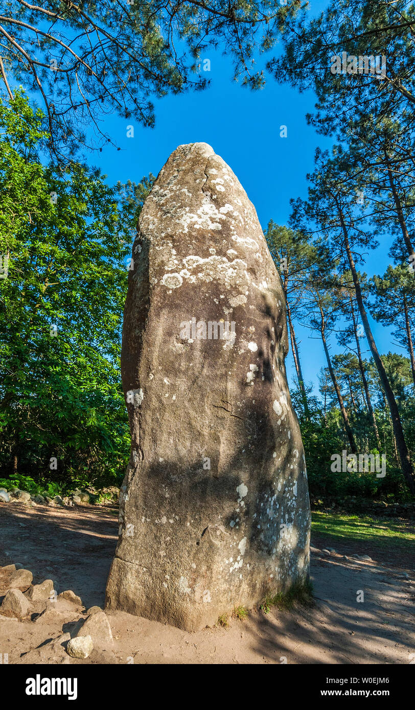France, Bretagne, Morbihan, menhir 'le Géant du Guillaume Depardieu' de Carnac Banque D'Images