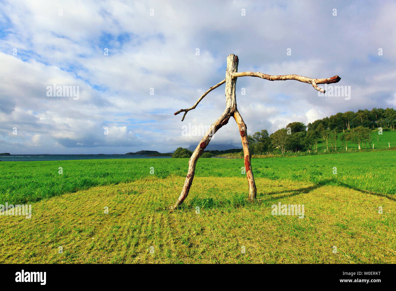 L'Europe, la Norvège, Nordland, Bodo. homme de bois Banque D'Images