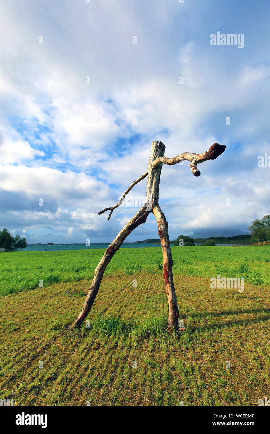 L'Europe, la Norvège, Nordland, Bodo. homme de bois Banque D'Images