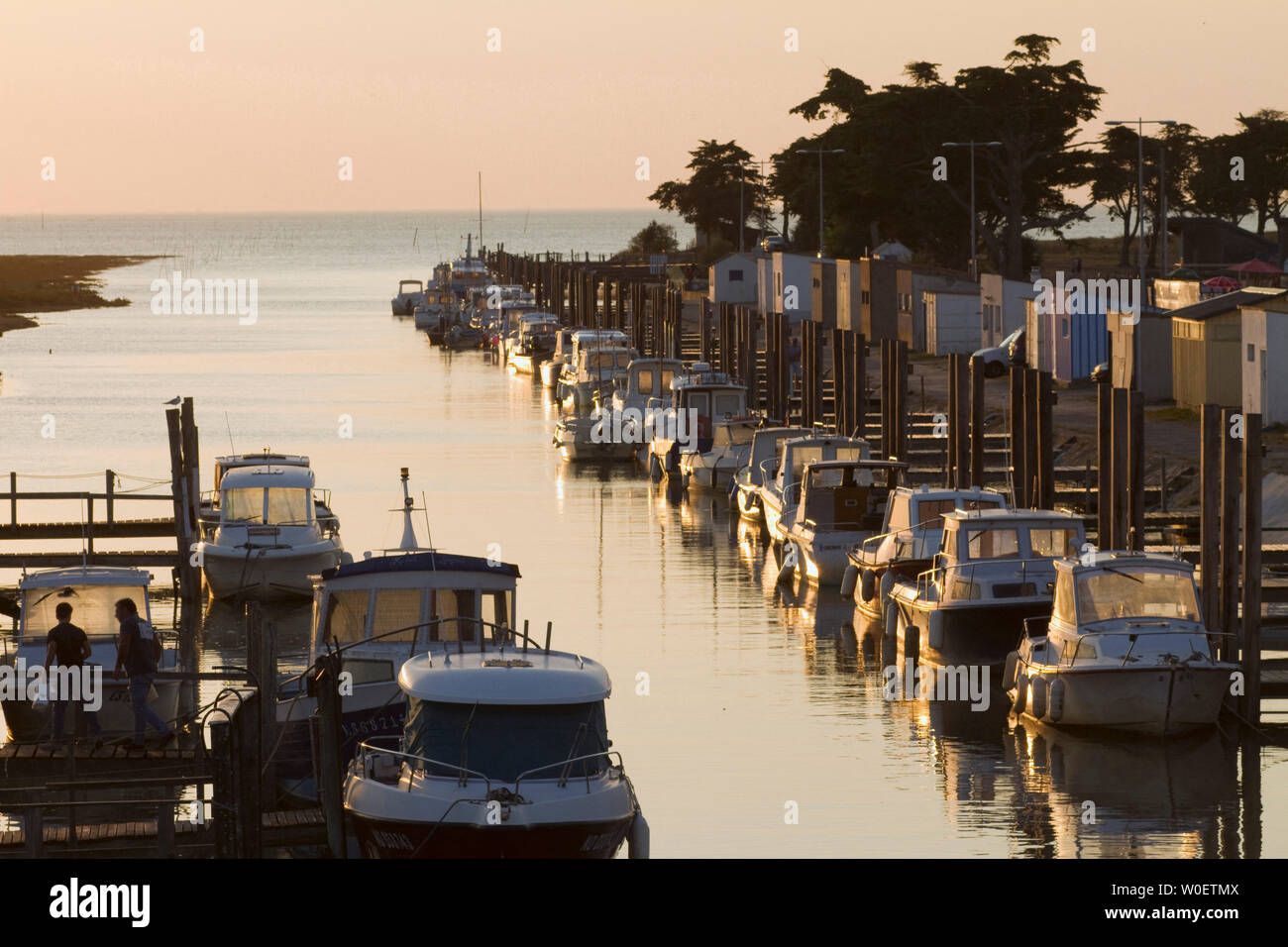 France, Baie de Bourgneuf, 44 ans, de les Moutiers-en-Retz, le port du  collet Photo Stock - Alamy