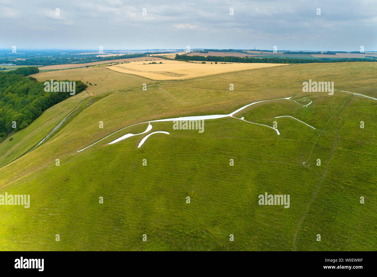 Royaume-uni, Angleterre. Oxfordshire . Le Cheval Blanc Uffington préhistorique Banque D'Images