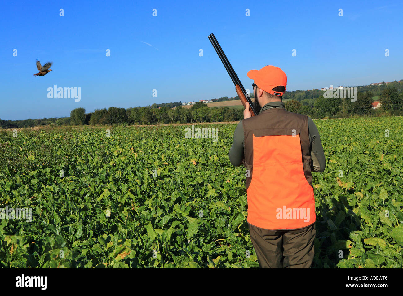 La France, la chasse Banque D'Images
