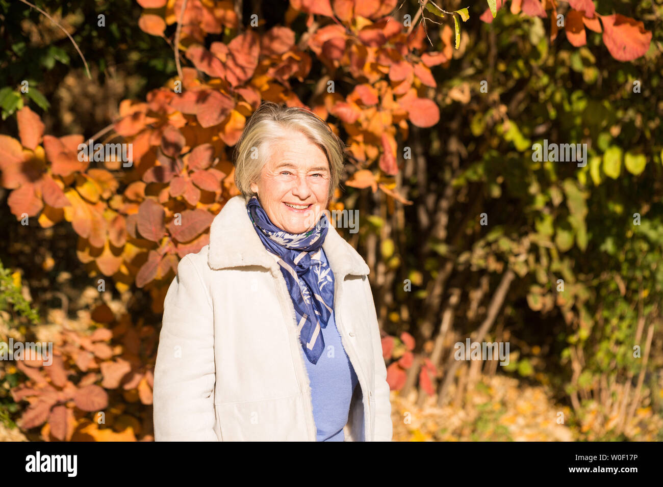 Beau portrait d'une jolie femme senior en face d'un arbre avec des couleurs automnales. Banque D'Images