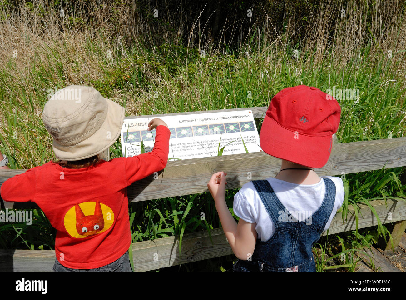 Fillette de trois ans et cinq-année-vieux garçon lire un panneau d'information dans un parc naturel Banque D'Images