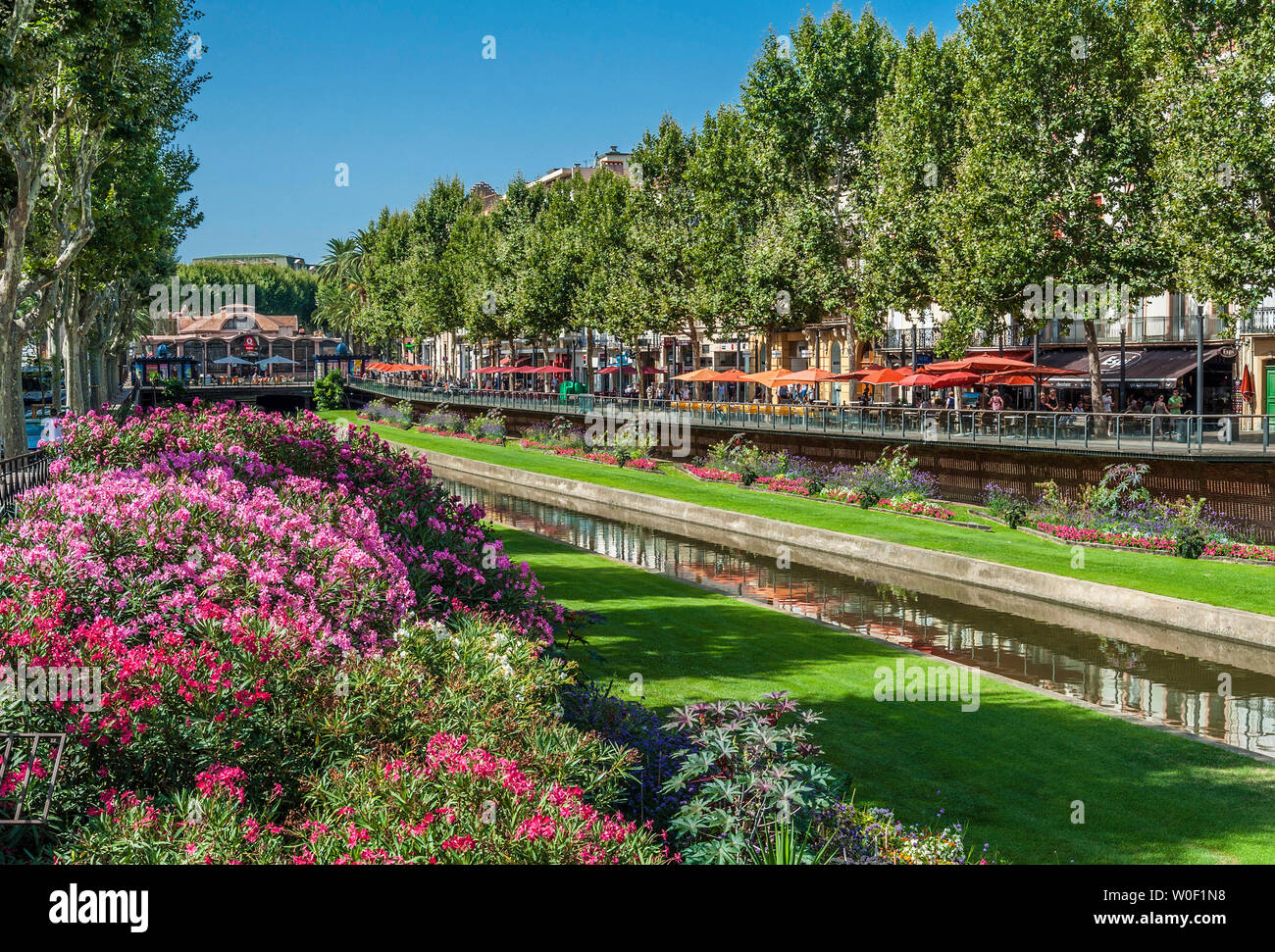 La France, l'Occitanie, Pyrénées Orientales, Perpignan, pleine d'arbustes le long de la fleur de la rivière Têt canalisable Banque D'Images