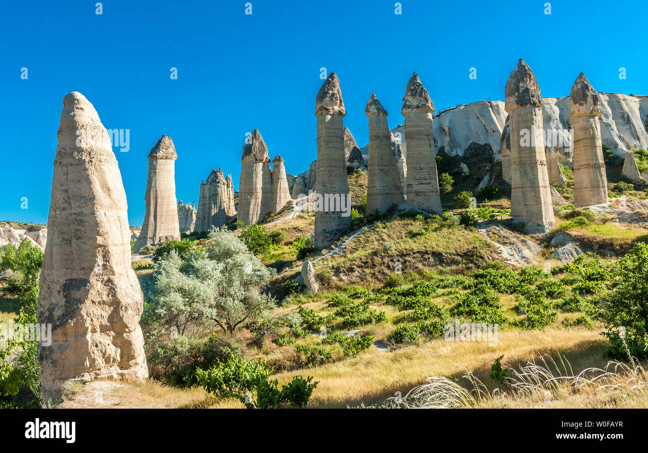 La Turquie, du parc national de Göreme et sites rupestres de la Cappadoce, la vallée de l'amour (ou la vallée blanche) avec cheminées en forme phallique (UNESCO World Heritage) Banque D'Images
