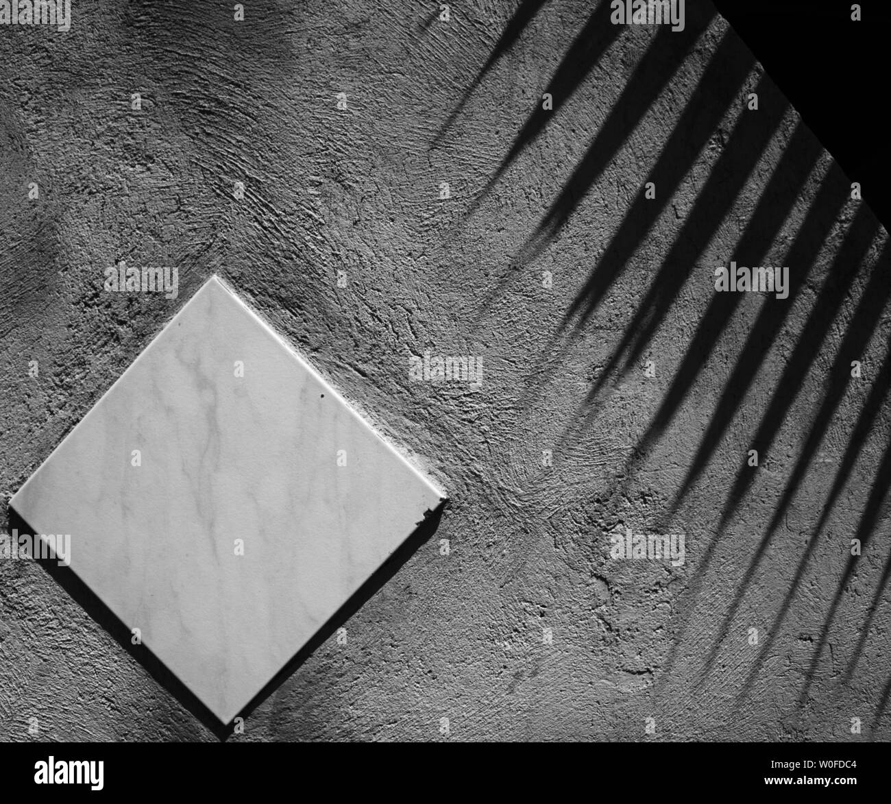 Palm Tree Shadows sur mur gris avec la forme en diamant Banque D'Images