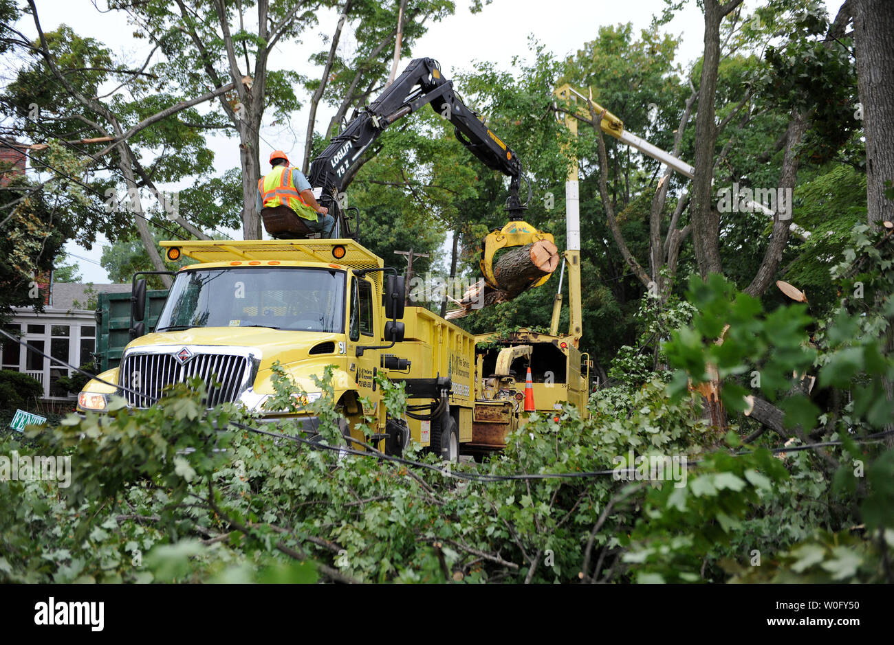 Les membres de C & D Arbres de Service Inc. déposer des morceaux d'arbres qui sont tombés au cours des orages tôt le matin qui a laissé un chemin de destruction par le DC, Washington le 12 août 2010. UPI/Kevin Dietsch Banque D'Images