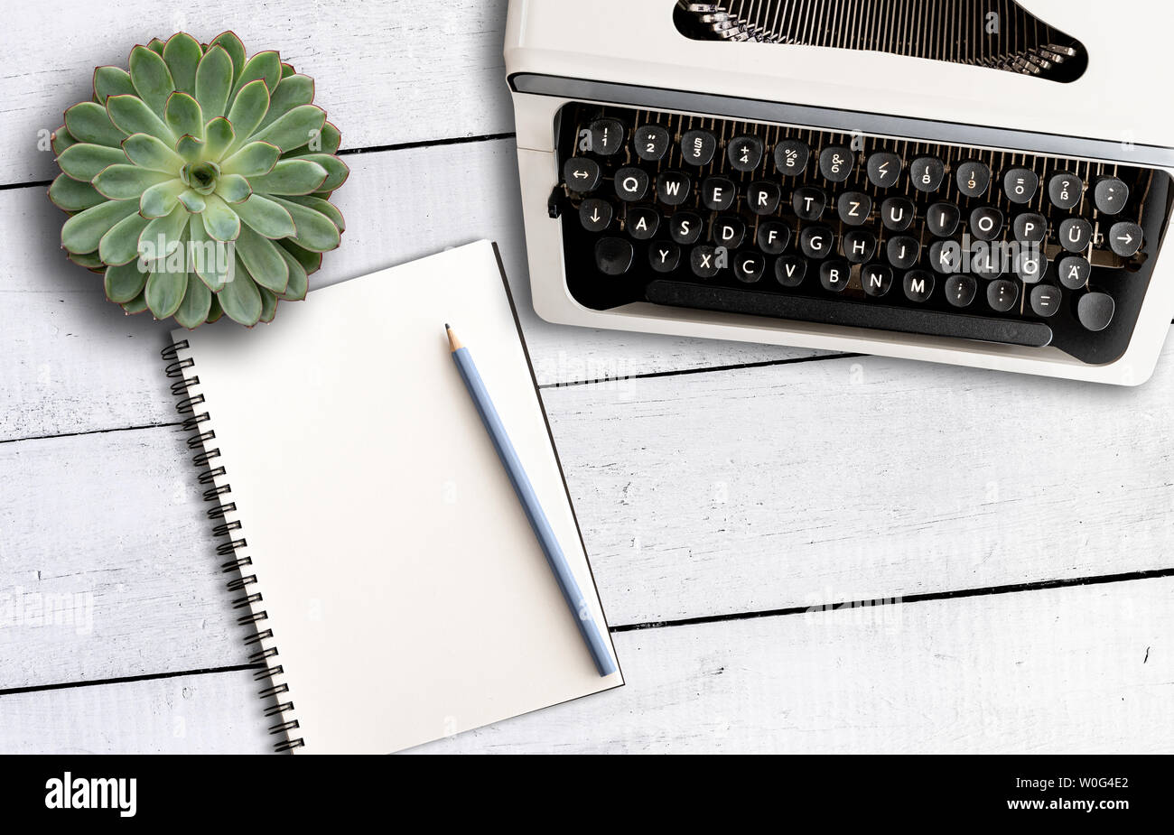 Vue de dessus de la vieille machine à écrire, notes et plante en pot sur le bureau en bois blanc rustique Banque D'Images