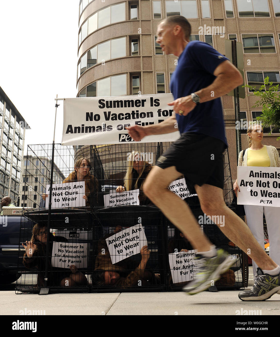 People for the Ethical Treatment of Animals (PETA) est titulaire d'une manifestation anti-fourrure à Washington, DC, le 21 juin 2011. Ils disent "animaux à fourrure souffrent quand ils sont écorchés vifs, ils souffrent aussi pendant les mois d'été lorsqu'il est confiné dans une cage dans des températures extrêmement chaudes.' UPI/Roger L. Wollenberg Banque D'Images