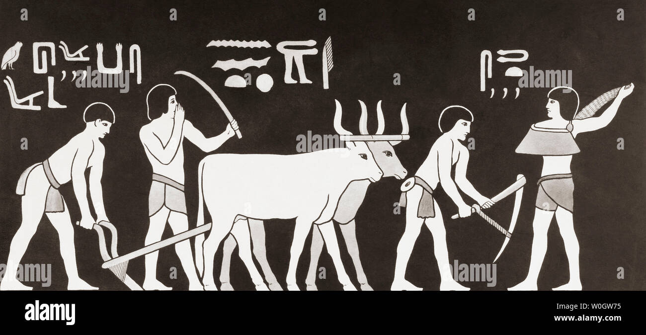 L'ensemencement et le labour dans l'Egypte ancienne. À partir d'une impression contemporaine, c.1935. Banque D'Images