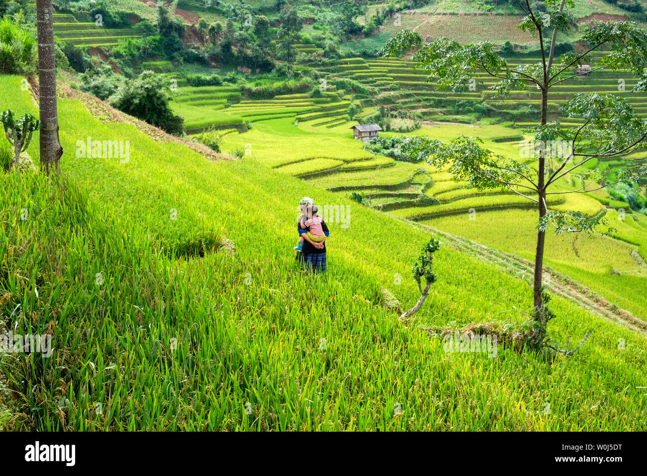 Mu Cang Chai, Vietnam - 07 Sept 2017 : grand-mère exerçant son petit-fils marcher dans le champ de riz vert sur la vallée de la tribu en terrasses Banque D'Images