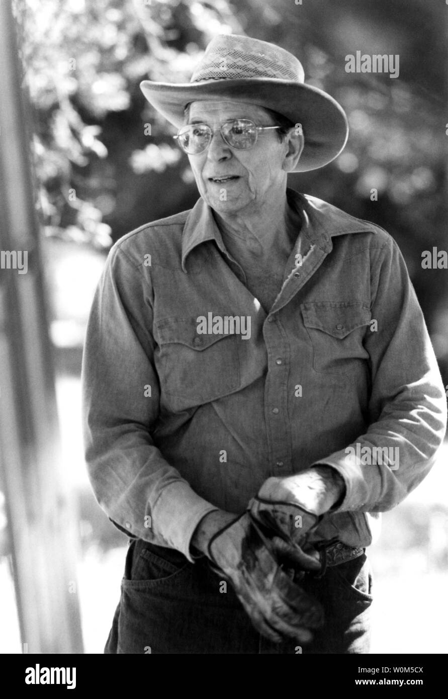 Le président Ronald Reagan est vu ici en ce 31 août, 1981 photo d'enfiler ses gants et se préparer à faire un certain travail de yard à son ranch en Californie du sud. (UPI/fichier) Banque D'Images