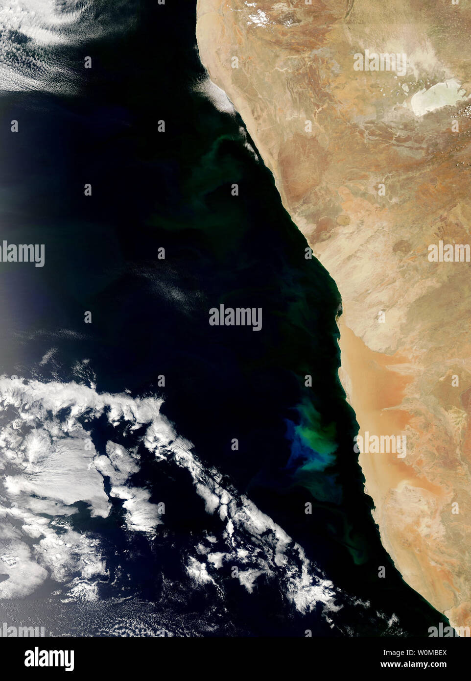 Feu vert et bleu les eaux au large de la Namibie au début de novembre 2007 comme une prolifération du phytoplancton a grandi et a disparu dans l'océan Atlantique. La floraison s'étend du nord au sud le long des centaines de kilomètres, même si elle est plus lumineuse dans le centre de cette image. Ces algues sont communes dans les eaux côtières au large du sud-ouest de l'Afrique où le froid, les courants riches en éléments nutritifs du balayage de l'Antarctique et interagir avec la plate-forme côtière. (Photo d'UPI/NASA) Banque D'Images