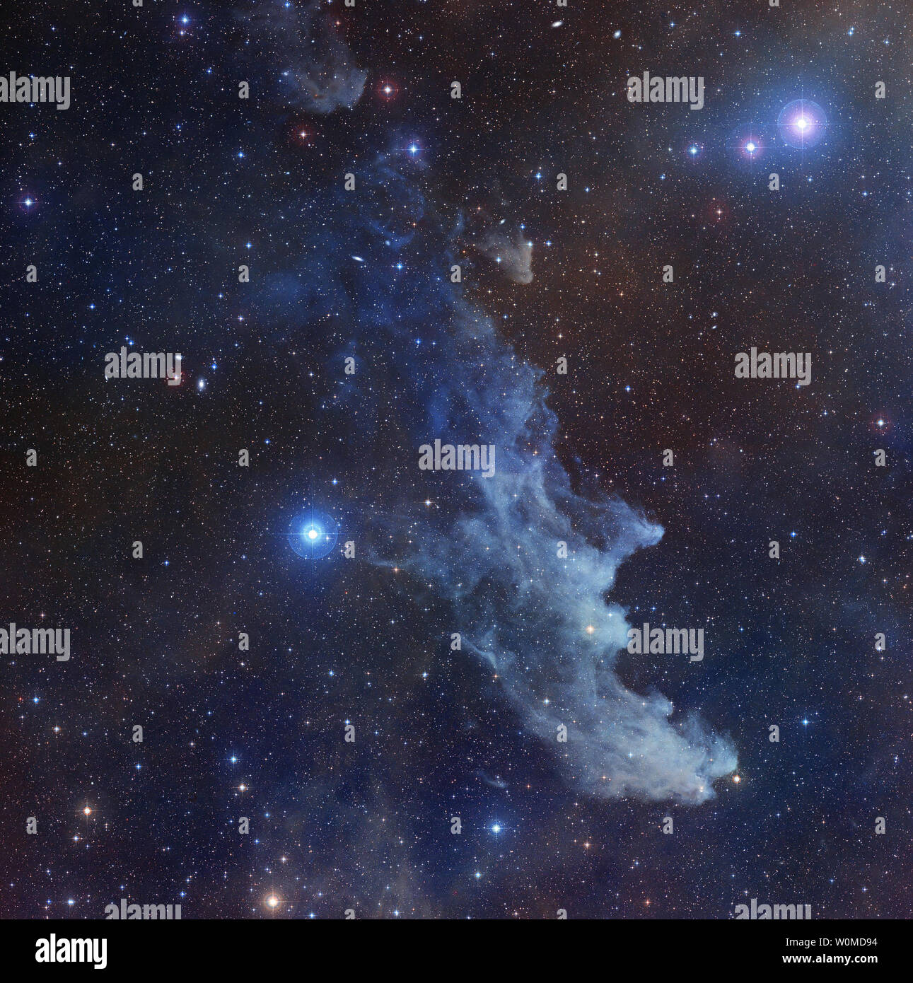 La nébuleuse de la tête de sorcière, vu dans cette photo publiée par la NASA le 31 octobre 2008, est une nébuleuse de réflexion associés à l'étoile Rigel. Connu officiellement sous le nom de IC 2118 dans la constellation d'Orion, la nébuleuse de la tête de sorcière brille surtout par la lumière réfléchie par l'étoile. La couleur de ce bleu très nébuleuse est causée non seulement par la couleur bleu azur de son étoile, mais aussi parce que les grains de poussière reflètent la lumière bleue plus efficacement que rouge. Le même processus physique provoque la Terre Ciel de jour pour apparaître en bleu. (Photo d'UPI/NASA/STScI numérisé Sky Survey/Noel Carboni) Banque D'Images