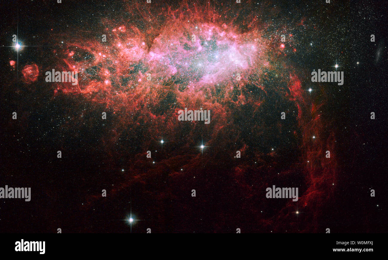 La galaxie starburst, appelée NGC 1569, photographiée par le télescope Hubble le 20 novembre 2008. La galaxie est la formation d'étoiles à un taux de plus de 100 fois plus élevé que dans la Voie lactée. Ce haut taux de formation des étoiles a été quasi continue au cours des 100 millions d'années. UPI/NASA Banque D'Images