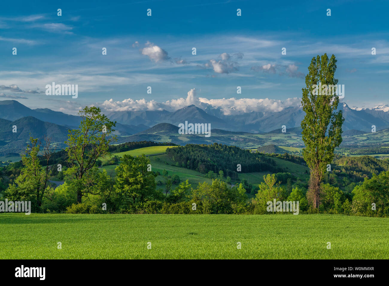 Paysages vivides avec geen Hills et de hautes montagnes. Paysage alpin en Provence, France Banque D'Images