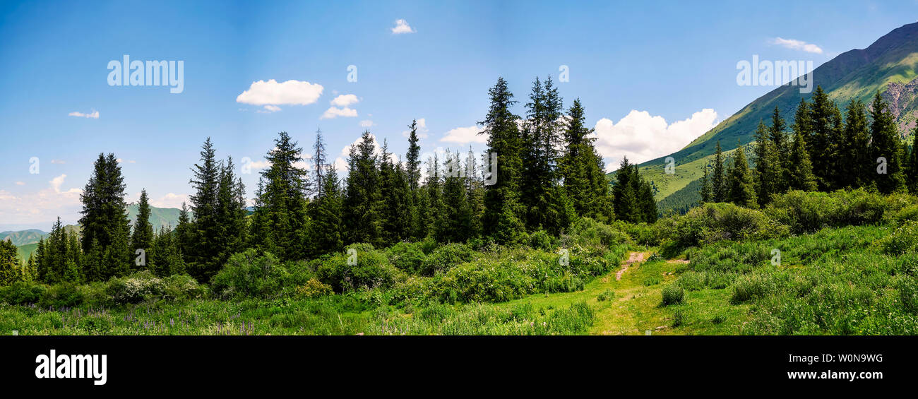 Panorama de la vallée de montagne en été. Nature extraordinaire, montagnes, éclairées par le soleil par temps clair, l'été dans les montagnes. Voyage, tourisme, b Banque D'Images