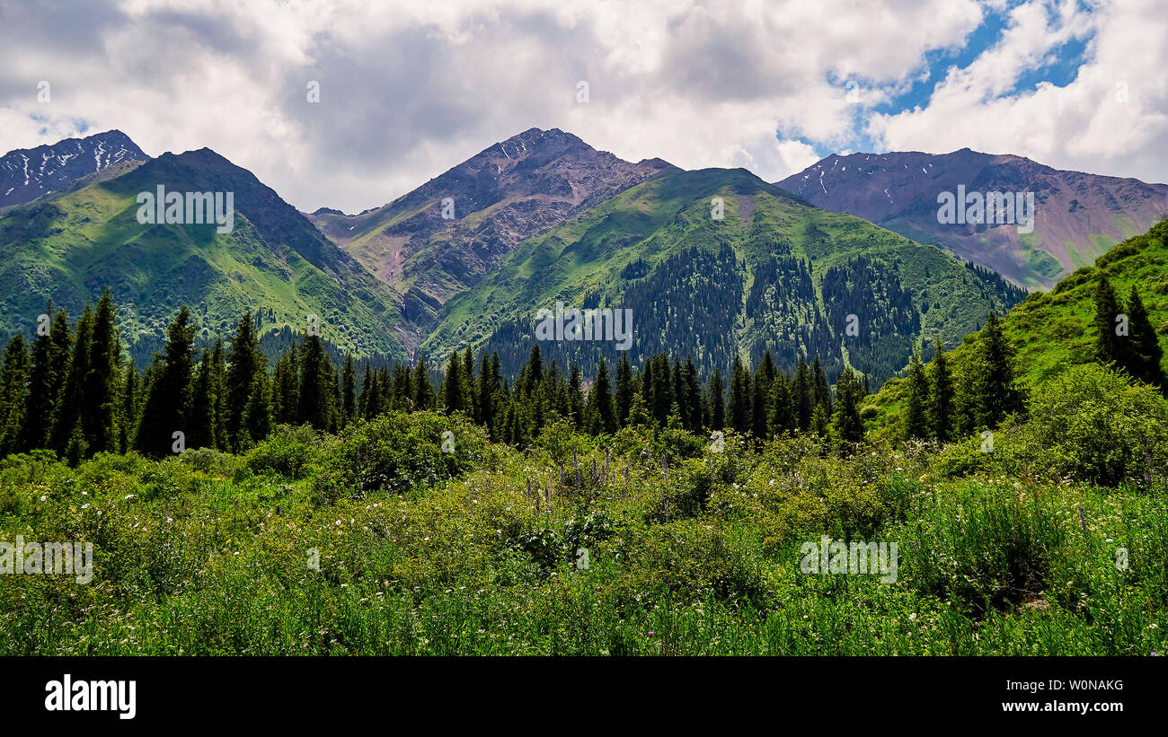 Panorama de la vallée de montagne en été. Nature extraordinaire, montagnes, éclairées par le soleil par temps clair, l'été dans les montagnes. Voyage, tourisme, b Banque D'Images