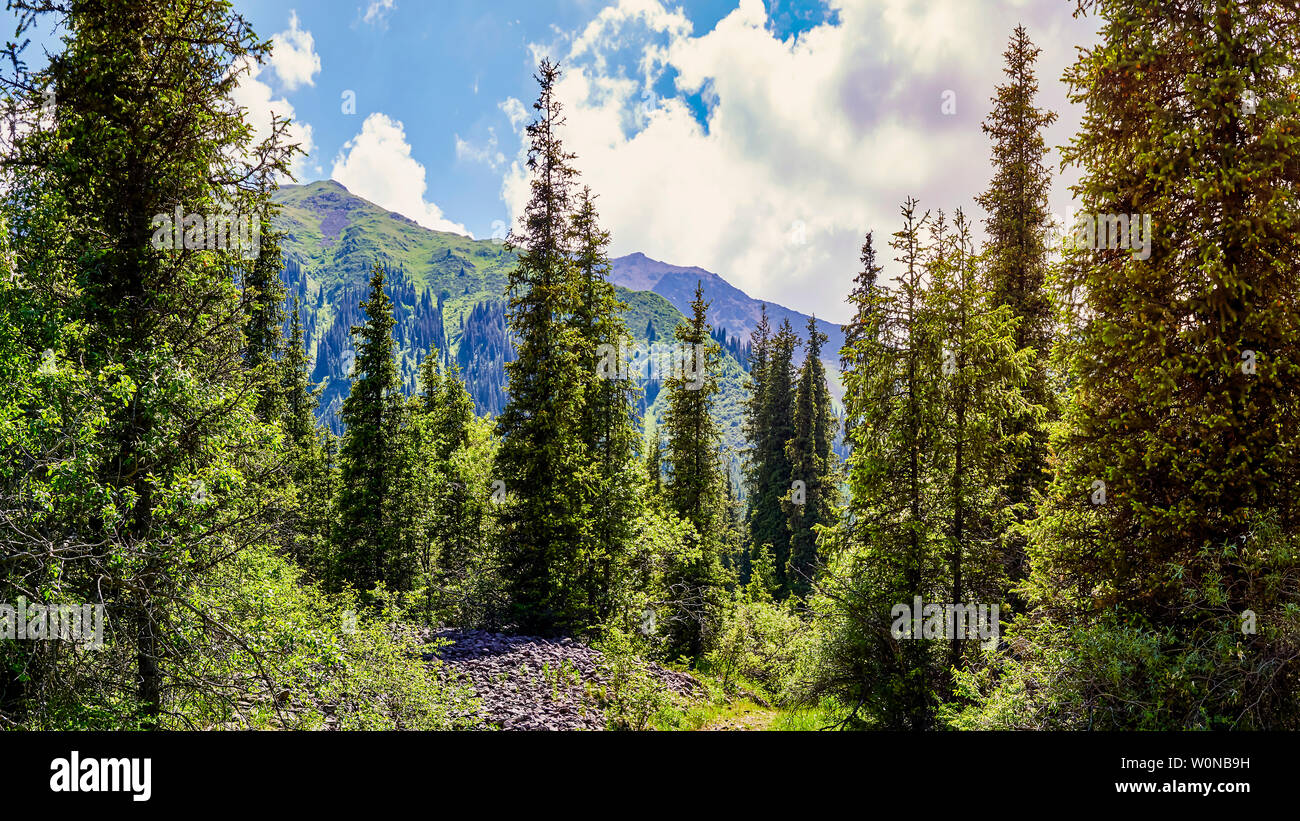 Vallée de montagne en été. Nature extraordinaire, montagnes, éclairées par le soleil par temps clair, l'été dans les montagnes. Voyage, tourisme, belle, l'arrière-plan Banque D'Images