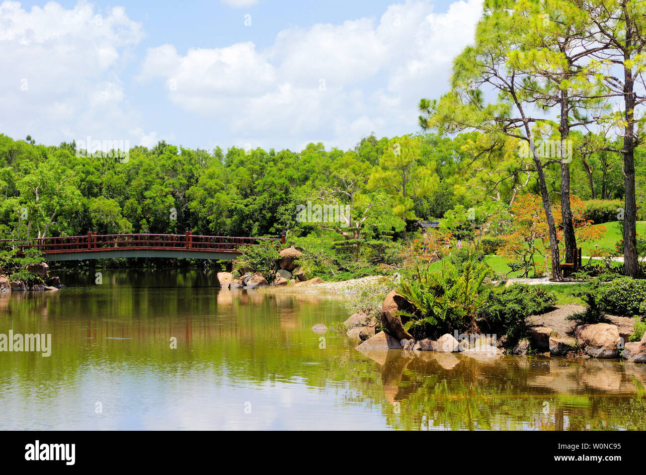 Delray Beach, Floride, jardin botanique japonais Morikami, beau pont, cascade et promenade le long du lac parmi une végétation luxuriante toile Banque D'Images