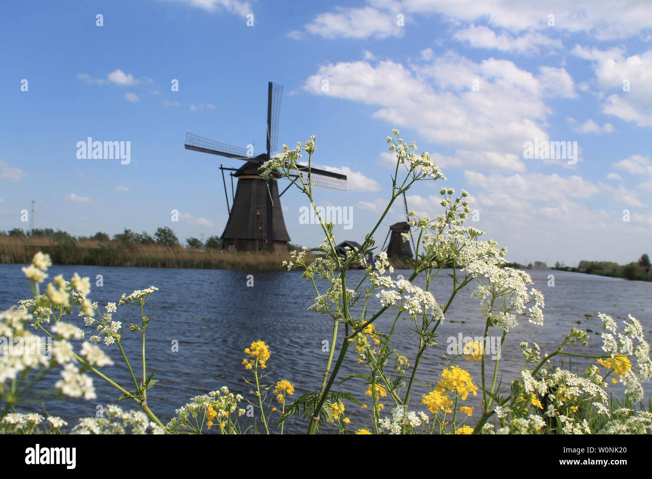 Moulin dans un jour nuageux à Kinderdijk - Amsterdam Banque D'Images