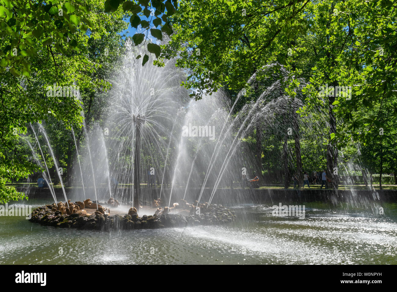 'Le Soleil' fontaine dans le parc inférieur à Peterhof Palace sur une chaude journée d'été ensoleillée, Saint Petersburg, Russie Banque D'Images