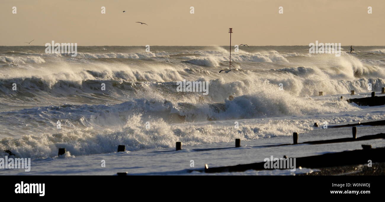 AJAXNETPHOTO. 2019. WORTHING, Angleterre. - Grosse MER BATTERS COAST - STORMY WEATHER HAMMERS LES PENTES DE GALETS PROTÉGÉ DE L'ÉROSION PAR DE NOMBREUX BOIS ÉPIS.PHOTO:JONATHAN EASTLAND/AJAX REF:192804 GX8  212 Banque D'Images