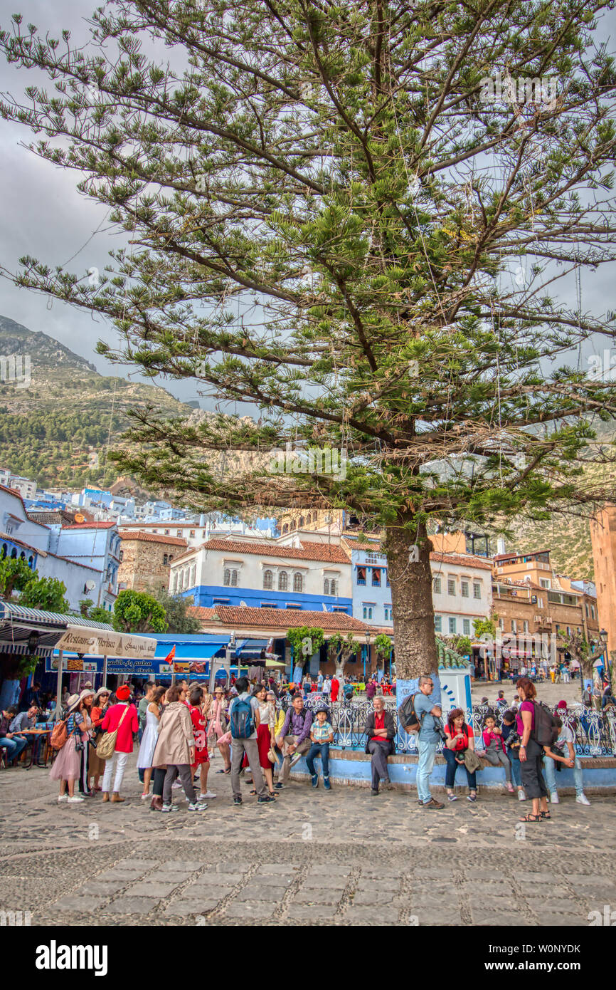 Chefchaouen, Maroc - 3 mai 2019 : Les gens autour du grand sapin au centre de la 'Outa El Haman' square à Chefchaouen, un très tourist place Birmingham Inverness Banque D'Images