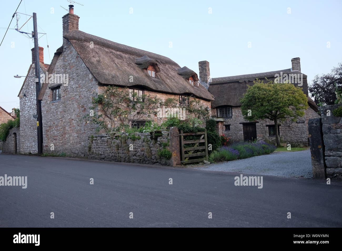 Juin 2019 - Grand Gîte rural dans le village de Cheddar Somerset Banque D'Images