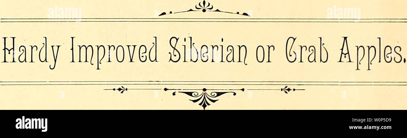 Image d'archive à partir de la page 13 du catalogue descriptif des spécialités régionales . Catalogue descriptif des spécialités : fruits, vignes et plantes1887descriptivecatal bois Année : 1887 12 Catalogue Abrégé de spécialités. Les variétés de pommes Sibérie {Pyrus Baccata) ont jusqu'ici été principalement appréciés pour leurs belles fleurs et la belle- apparaissent de l'arbre lorsqu'il est chargé de fruits. Il y a plusieurs points sur lesquels nous souhaitons appeler l'attention, et sur lesquels nous basons notre recommandation de ces fruits hardy pour la culture générale : 1st. Thej' peuvent être soulevées sur tout type de di Banque D'Images