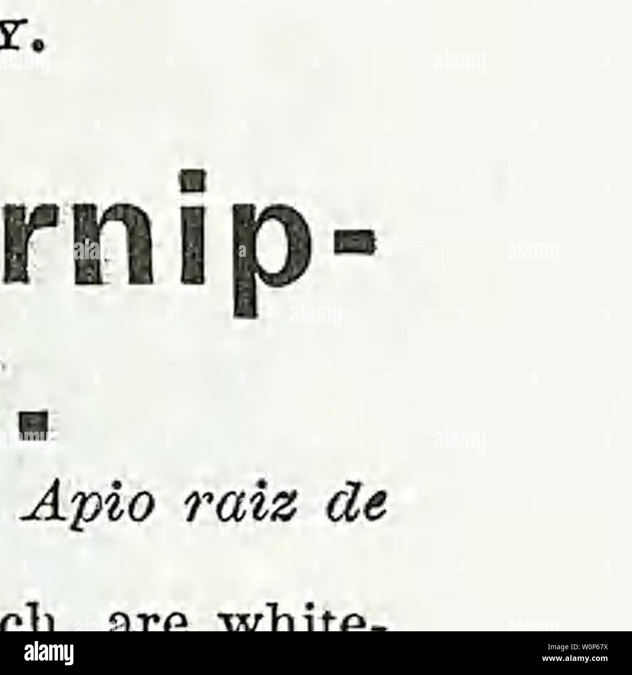 Image d'archive à partir de la page 16 du catalogue descriptif de légumes, de fleurs,. Catalogue descriptif de légumes, de fleurs, et des semences de ferme l'année WeebC Descriptivecata00 : 18uu cerfeuil gondolé. Salade de maïs ou Fetticus Ackersolat- Allemand, Français.-, Mache.-espagnol, Macha Valerianilla. Une once sèmera 150 pieds de forage. Cette excellente salade peut être eu le long de l'année. Semez en sep- tembre, à huit pouces de distance, exercices couvrant les graines légèrement et protecfe du gel par une lumière couvrant le foin ou la litière. Les semences peuvent aussi être semées au printemps. Grosses graines. La plus populaire variété cultivée. Par pkt., 5 cts. ; o Banque D'Images