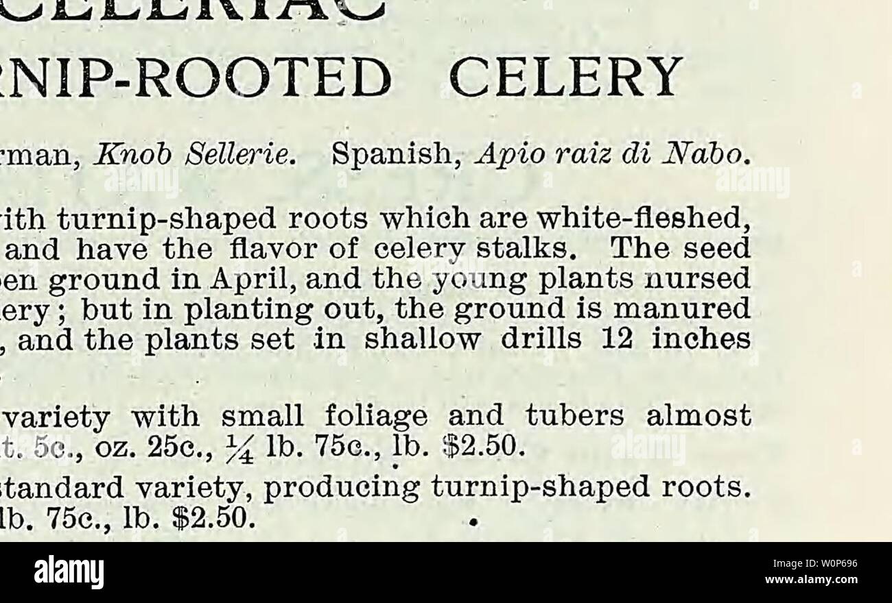 Image d'archive à partir de la page 16 du catalogue descriptif de légumes, de fleurs,. Catalogue descriptif de légumes, de fleurs, et des semences de ferme Année Descriptivecata00WeebA : 18uu cerfeuil allemand, Kerbel. Le français, l'CerfeuU. L'espagnol. Perifollo. Le bouclé le cerfeuil cultivé comme le persil, et utilisé pour la garniture et l'assaisonnement des soupes et salades. La semence de la racine tubéreuse est semé en août, et traités comme la carotte. Cerfeuil gondolé. Les jeunes feuilles sont utilisées pour aromatiser les soupes et salades. Pkt. 5c, oz. 10C, lb. 30C, lb. $1.00. Ses racines tubéreuses. Préparé pour la table, comme les carottes, c'est l'un des m Banque D'Images
