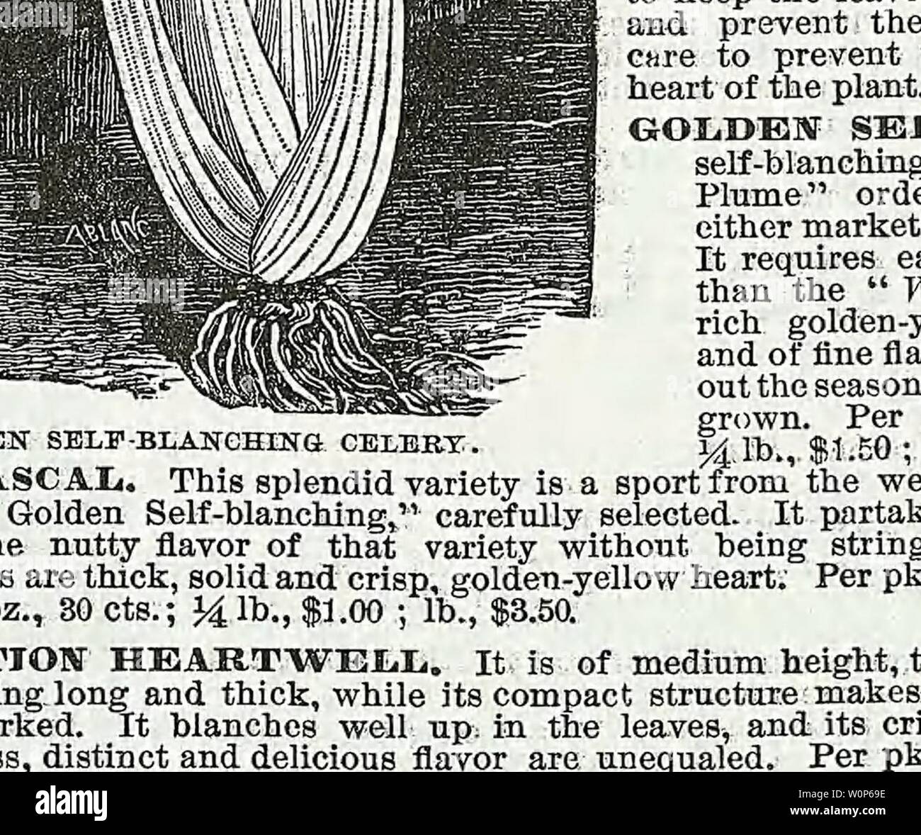 Image d'archive à partir de la page 16 du catalogue descriptif de légumes, de fleurs,. Catalogue descriptif de légumes, de fleurs, et des semences de ferme l'année WeebC Descriptivecata00 : 18uu 16 WEEBER & DON. Les graines de légumes. Allemand, Kerbel.- Français, Espagnol - CerfeuiL, Perifollo. Le cerfeuil cultivé est gondolé, comme le persil et utilisés pour garnir- tion et l'assaisonnement des soupes et salades. La semence de la racine tubéreuse est semé en août, et traités comme la carotte. Cerfeuil gondolé. Les jeunes feuilles sont utilisées pour aromatiser les soupes et salades. Par pkt., 5 cts. ; oz., 20 cts. ; 34 lb., 60 cts. ; lb., 2,00 tubéreux enracinées. Prepar Banque D'Images