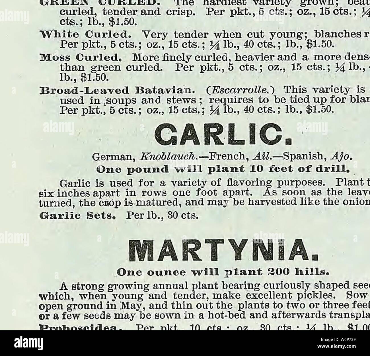 Image d'archive à partir de la page 19 du catalogue descriptif de légumes, de fleurs,. Catalogue descriptif de légumes, de fleurs, et des semences de ferme l'année WeebC Descriptivecata00 : 18uu Hanson. Les grands chefs, de deux à trois livres chacun ; coeurs rapidement, et est bien l'été ; la qualité excellente. Par pkt., 5 cts. ; oz.,15cts. ; 14 lb., 40cts. ; lb., 1,25 $. Prix Marly tête. Forme une usine gigantesque, dans lequel les feuilles extérieures sont croquantes et tendres, et le rester tout au long de la saison. Par pkt., ensembles. ; oz., 15cts. ; Jlh.,40cts. ; lb., 1,25 $. ZEfew Yoi-lk. Cette variété branches lui-même naturellement, est croquante, tendre et de Banque D'Images