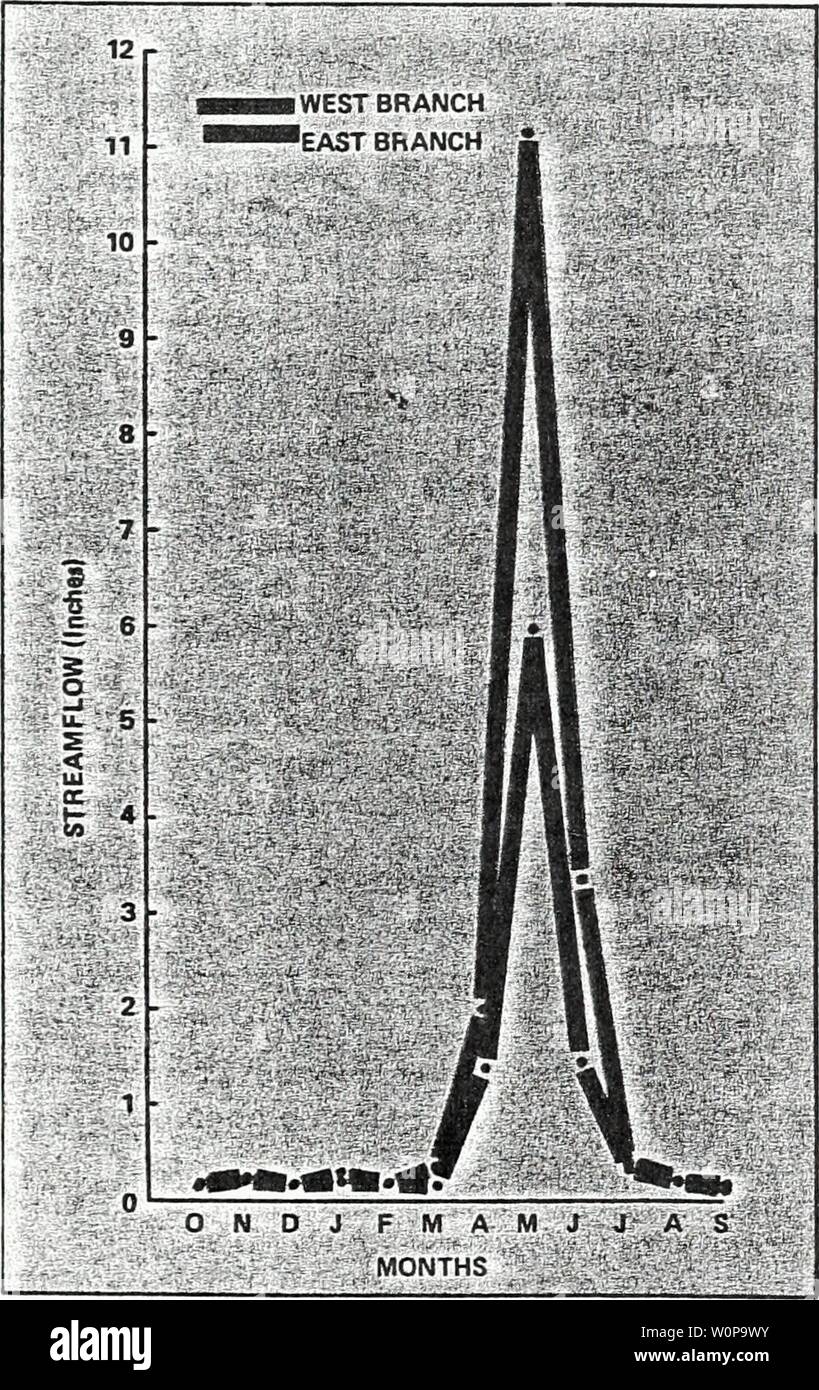 Image d'Archive de la page 28 de la description et de l'analyse hydrologique. Description et analyse hydrologique de deux petits bassins versants des montagnes Wasatch descriptionhydro127john Année : 1972 Tableau 4. - Une comparaison de l'écoulement de l'Est et l'ouest du ruisseau de poulet de branches (1966-1970) Année de l'eau Unité de mesure à l'Est Ouest de la direction de l'écoulement annuel moyen 9,7 pouces 18,7 l 0,15 0,47 c.s.m. 0,72 1,23 acre ft. 111,8 280,4 flux annuel maximum acre ft. Un débit annuel minimum AO 0 acre ft. 66,35 177,83 le débit maximum enregistré l 4,67 13,39 l'écoulement minimale enregistrée 0,001 0,001 Figure Banque D'Images