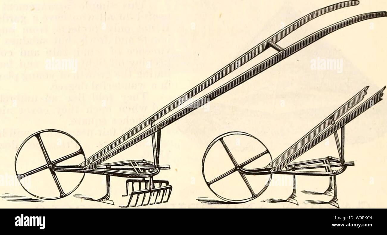 Image d'archive à partir de la page 77 du catalogue descriptif de choix, ferme. Catalogue descriptif de choix ferme, jardin et des graines de fleurs, racines, plantes et jardin requis1881descriptivecatal rhal Année : 1881 PRIX DE DÉTAIL DE L'ALLEN 72 CATALOGUE. Semences de Comstock semeur, Etc. Ces semeurs peut être avait d'entre nous soit comme des machines simples ou combinés avec l'un des outils cultivant spécifié ci-dessous. Les prix comprennent l'emballage et de livraison, chaque machine étant complètement lorsqu'il est livré en boîte. Semeur de graines seules ou en combinaison. Semeur de graines, seul $800 ' combiné à part le cultivateur et l'Oignon Bineuse   1200 Voir Banque D'Images