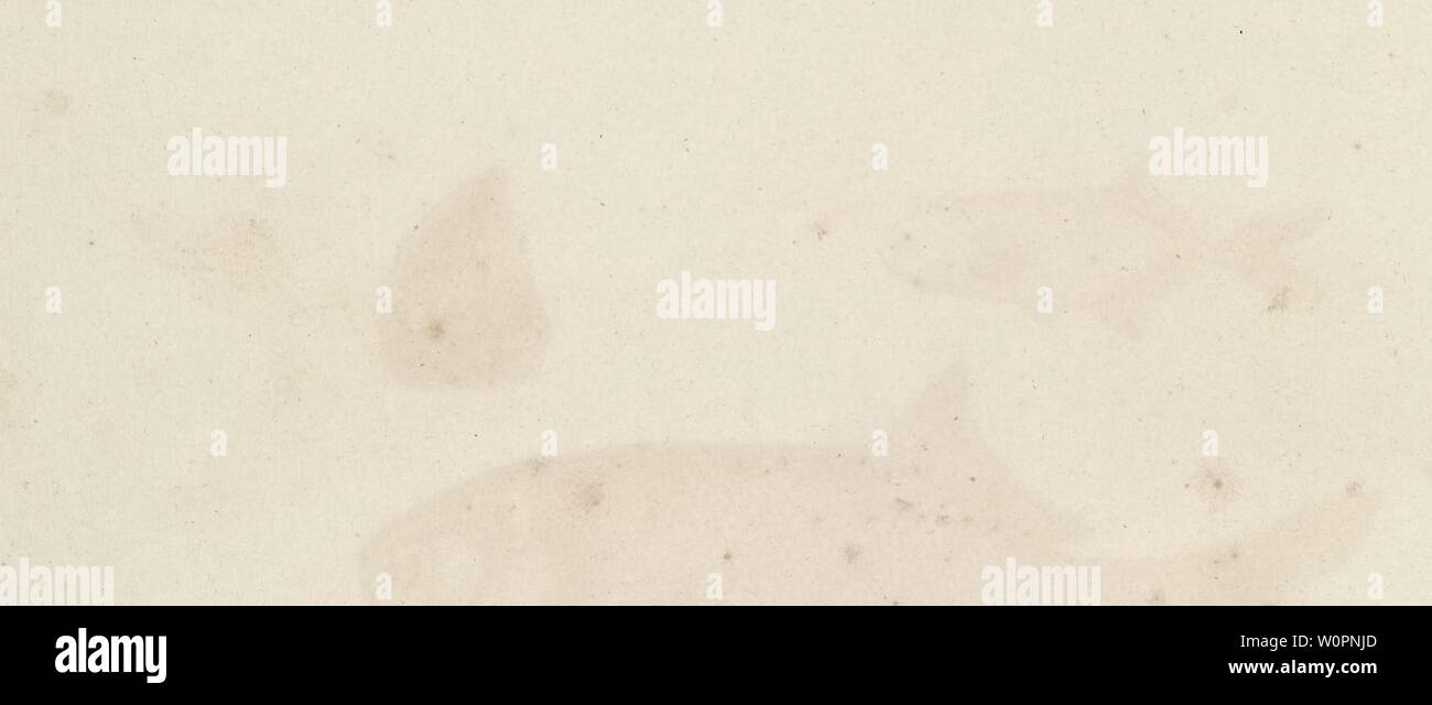 Image d'archive à partir de la page 99 de la description de l'Egypte, ou, Recueil. Description de l'Egypte, ou, Recueil des observations et des recherches qui ont été faites en Égypte pendant l'éxpédition de l'armée française Descriptiondelq1Fran Année : 1809 P& la Jef. 1 . LA PERCHE LATOUS04 JPJOEM 1LATUS 2 . Ta Banque D'Images