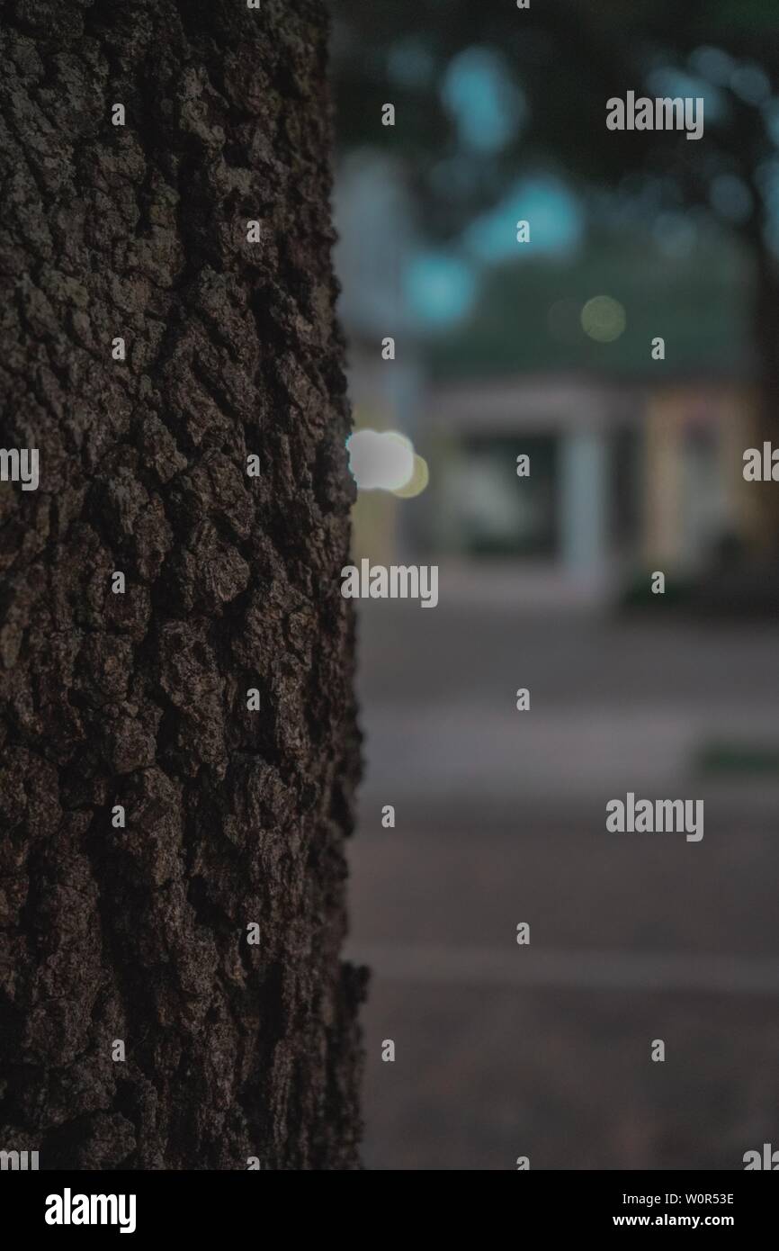 Park Avenue Banque D'Images