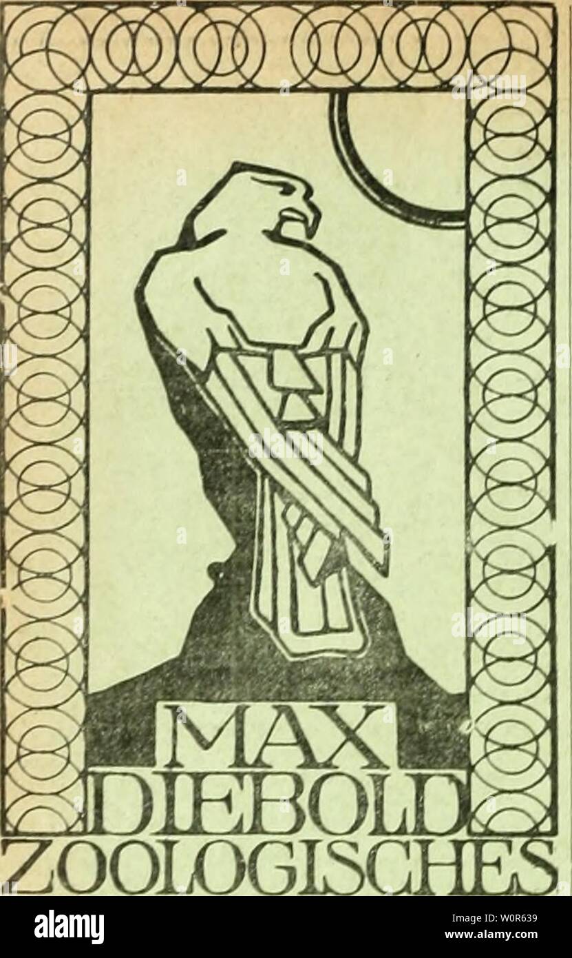 Image d'archive à partir de la page 267 de Der Ornithologische Beobachter (1902). Der Ornithologische Beobachter derornithologisc13hélas Année : 1902 Banque D'Images